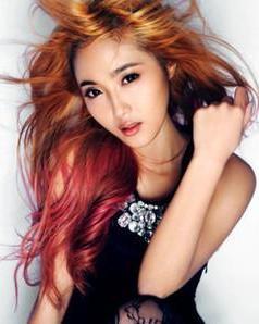 ���ݸ�������