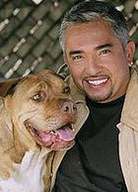 ����������������