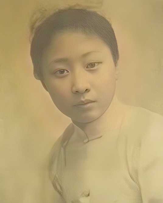 ¶������������