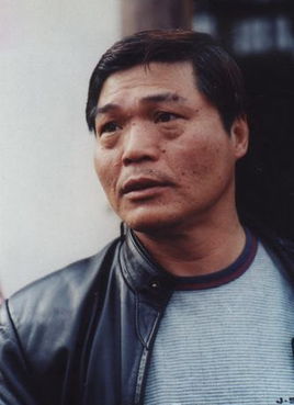 Ԫ���������