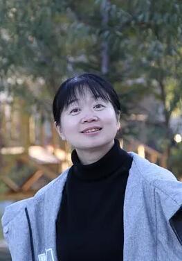 ӾȺ��������