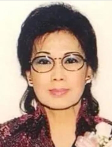 ����ݸ�������