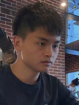 ���ĸ�������