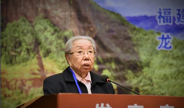 ���ɸ�������