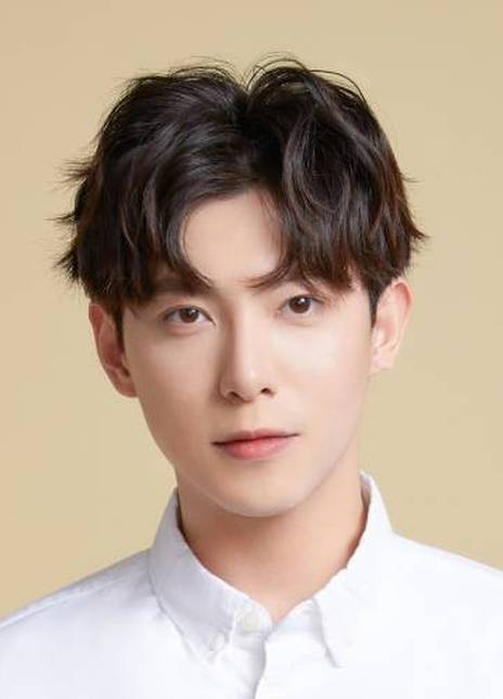 ���ָ�������