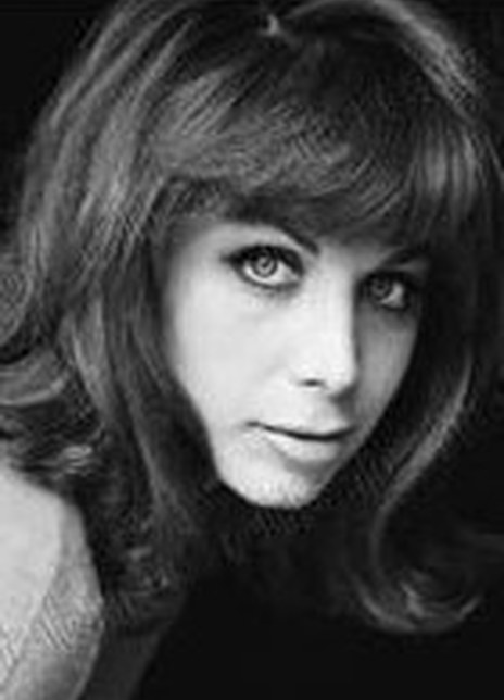 ����櫡��������������