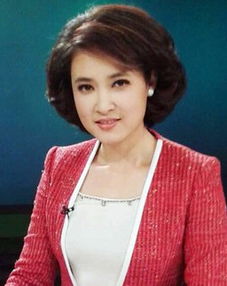 ɣ����������