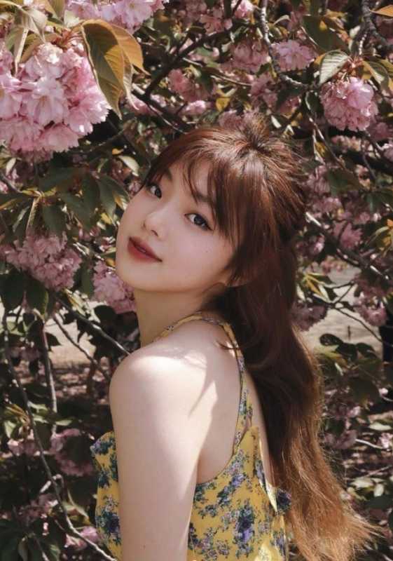 ����ȸ�������