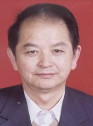 ��ο���������