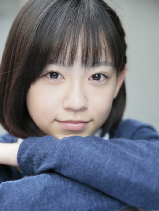 �����ӻ���������