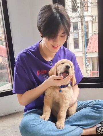 ��³�ء��������켪�̸�������