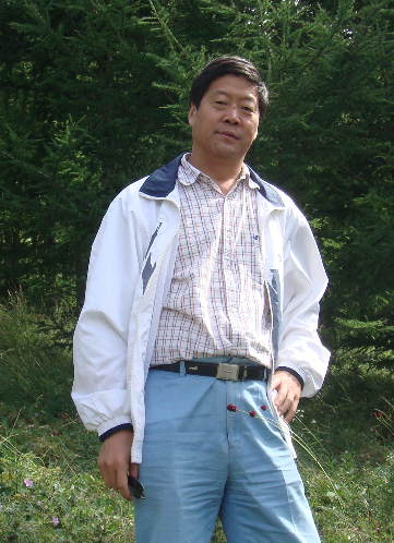 ���񻢸�������