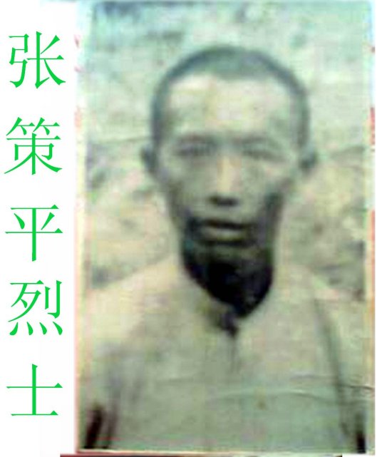 �Ų�ƽ��������