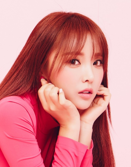 ����Ӣ��������