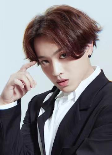 ��Ӧ͢��������