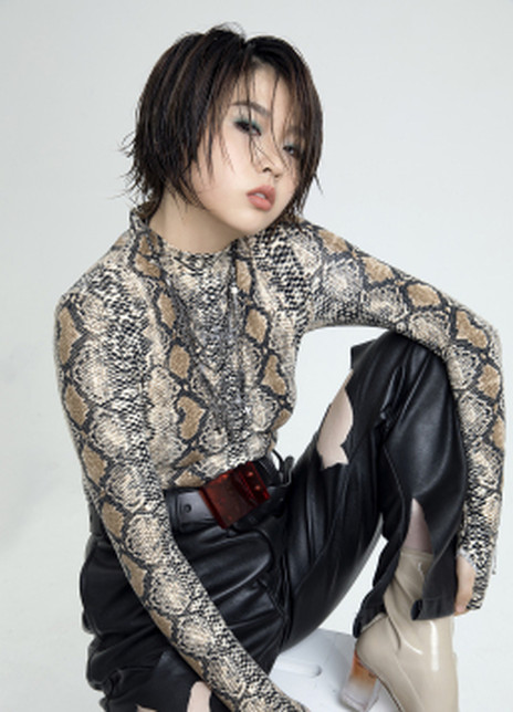 �����¸�������