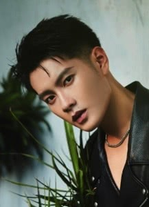 �����ܸ�������