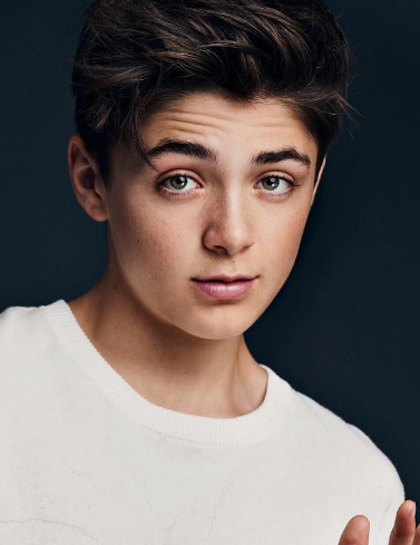 ��ɪ�������������