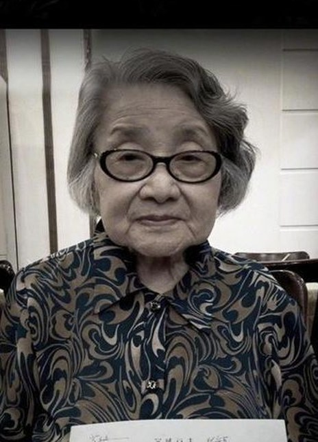 ½���������