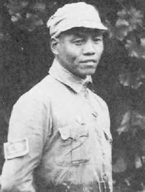 ��η��������