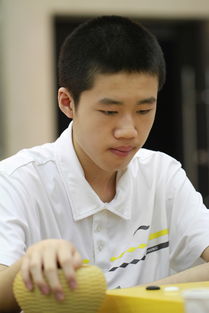 �����Ը�������