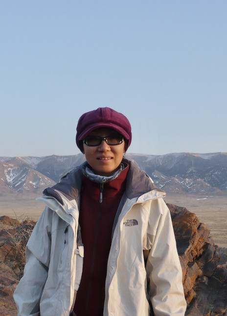 ���¸�������