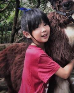 �ܻ�����������