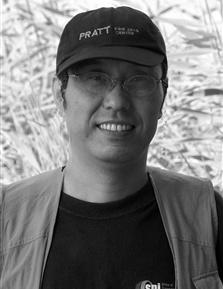 ����ƽ��������