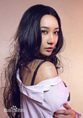 ��˹��������