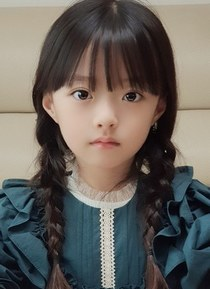 �����ɸ�������