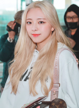 �����ȸ�������