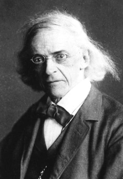 �ذ¶������ɭ��������