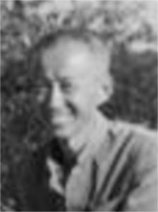 ��ΰ���������