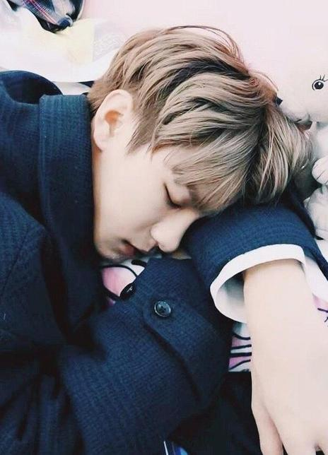 ��ŵ�Ը�������