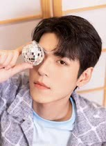 ���׸�������