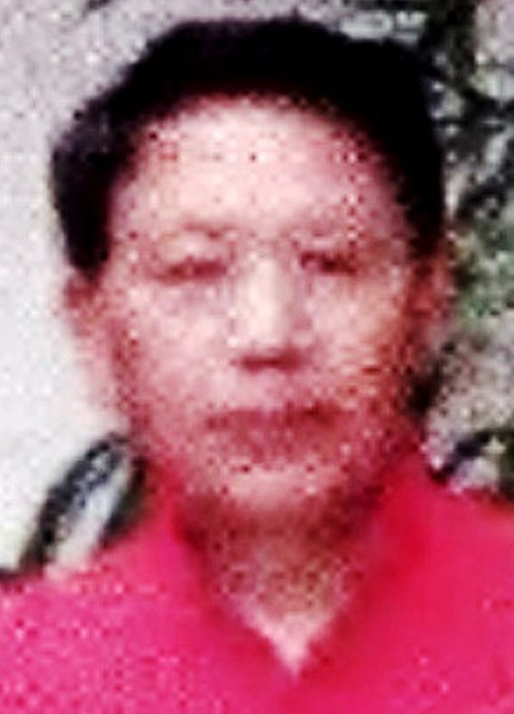 ����¸�������