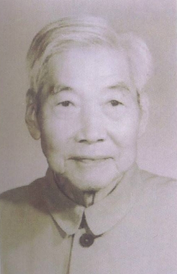 ����谸�������