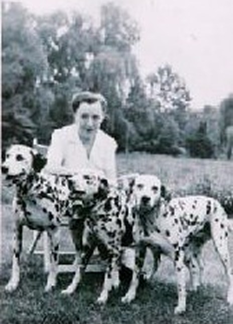 ���ϡ�ʷ��˹��������