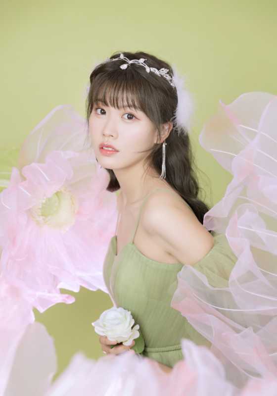 ½���ø�������