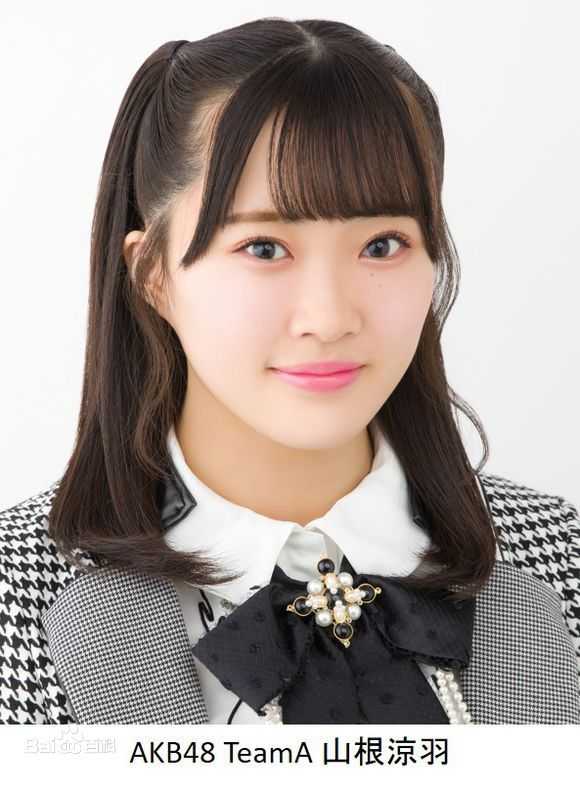 ɽ�������������