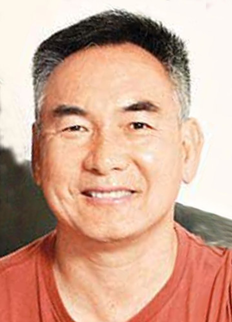 Ԫ����������