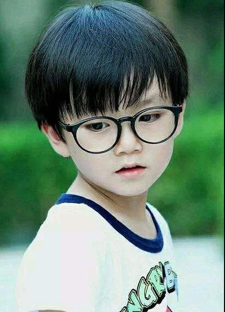 �����ȸ�������