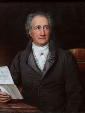 ��¸�������