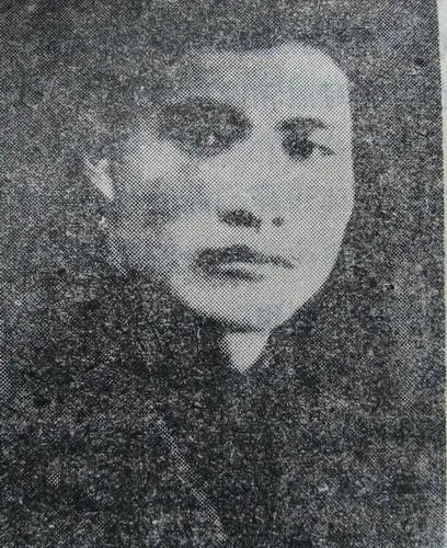 ��η��������