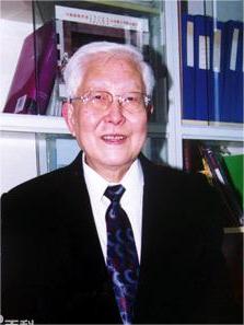 ����ͤ��������