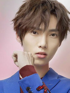 ���ڸ�������