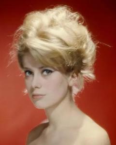 ��ɪ�ա�����ܽ��������