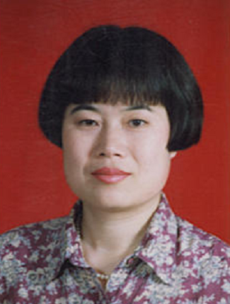 �����͸�������