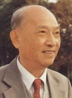 ���Ƶ¸�������