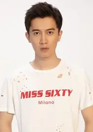 ���ܸ�������